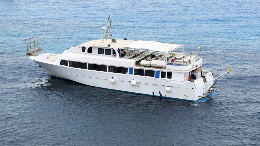 From San Vito: Boat Excursion to Favignana and Levanzo