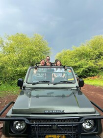 Excursion d'une journée au safari des tigres de Ranthambore au départ de Ja...