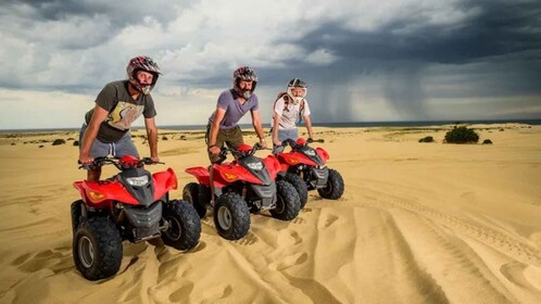 Ciutat del Cap: Trasllat d'anada i tornada en quad per Atlantis Dunes