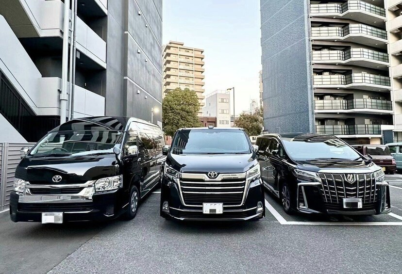 Picture 3 for Activity Osaka City: Private One-Way Transfers to/from Arima Onsen