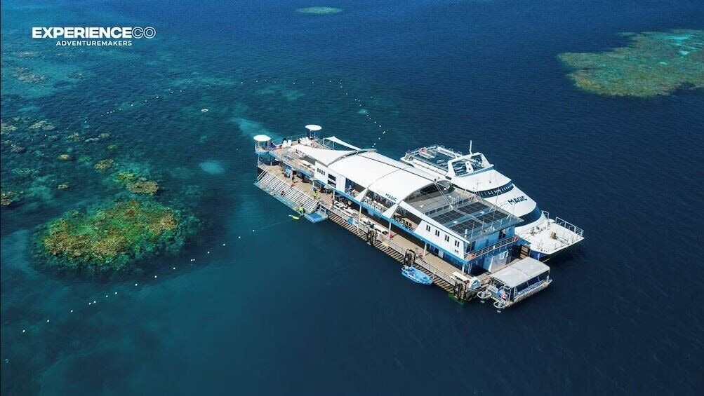 Reef Insight on Reef Magic Pontoon