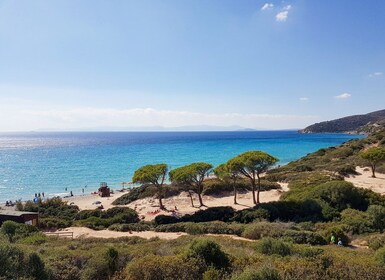 Costa Rei boat trip with Snorkelling and marine biologist