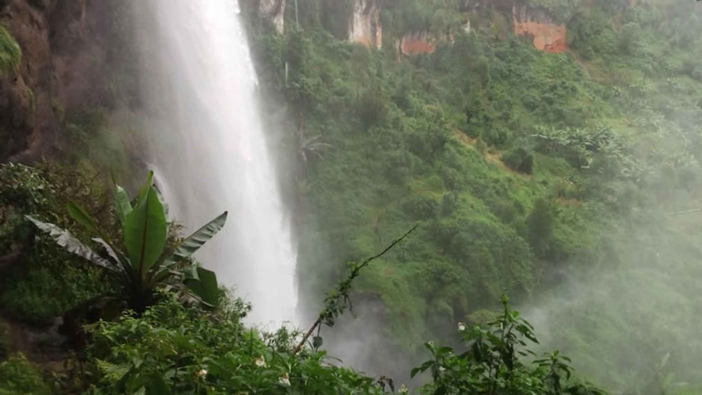 Picture 1 for Activity Uganda: 4 Day Sipi Falls Safari Experience