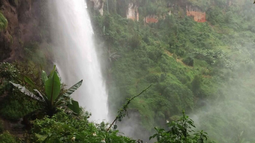 Picture 1 for Activity Uganda: 4 Day Sipi Falls Safari Experience