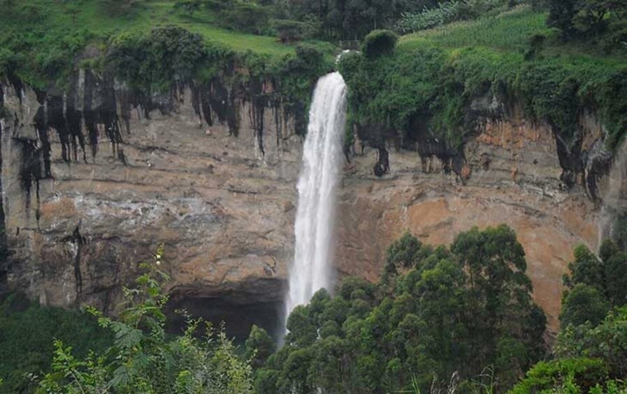 Picture 2 for Activity Uganda: 4 Day Sipi Falls Safari Experience