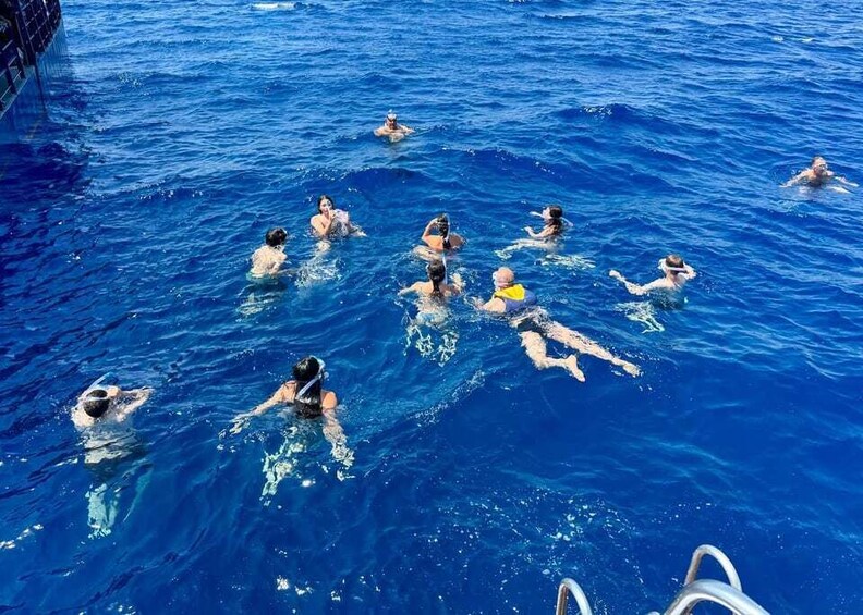 Picture 5 for Activity Larnaca: Glass Bottom Boat Bay Cruise with Snorkeling