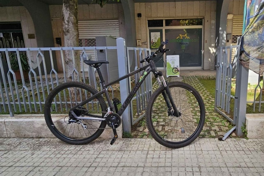 Bari: mountain bike Rentals