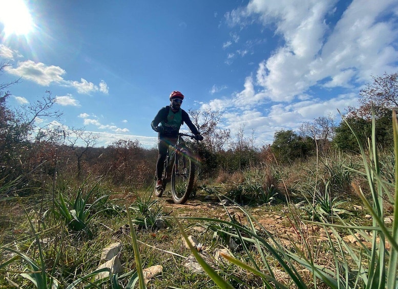 Picture 4 for Activity Puglia/Bari: Rent a mountain bike & Explore Puglia