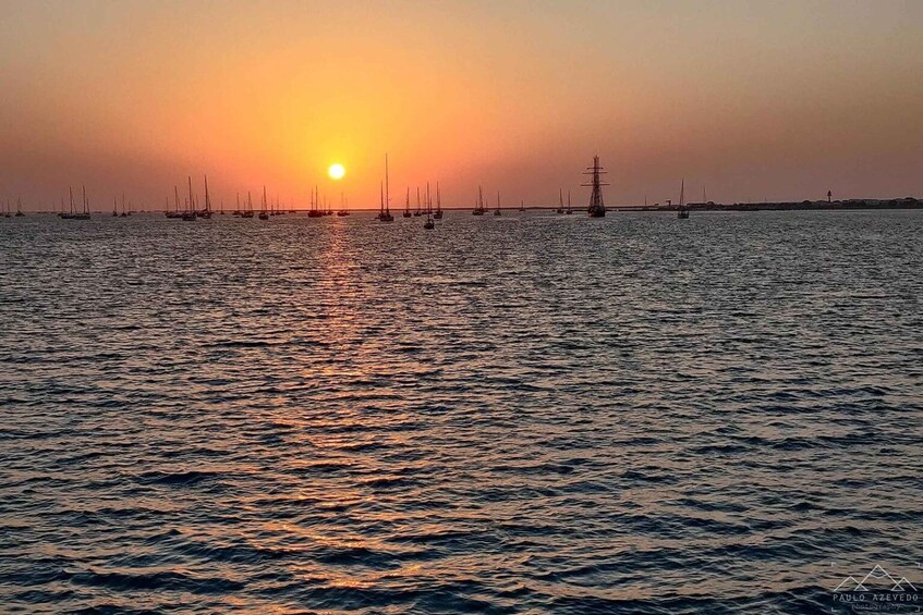 Picture 3 for Activity Faro: Ria Formosa Guided Sunset Tour by Catamaran