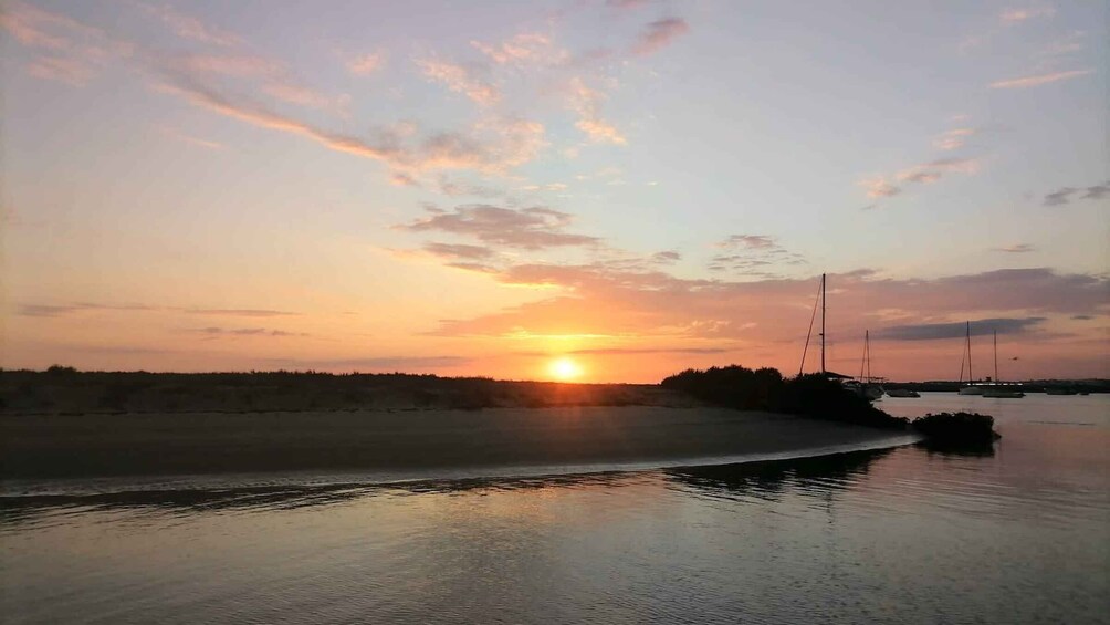 Picture 2 for Activity Faro: Ria Formosa Guided Sunset Tour by Catamaran