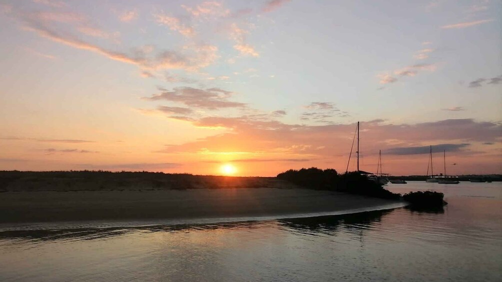 Picture 2 for Activity Faro: Ria Formosa Guided Sunset Tour by Catamaran