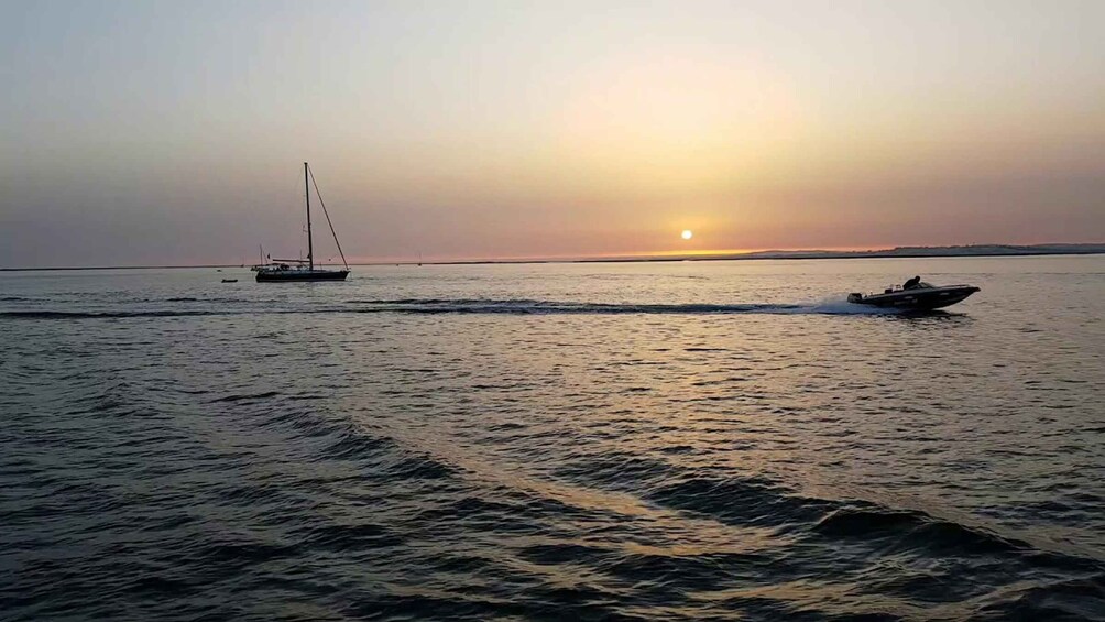 Picture 4 for Activity Faro: Ria Formosa Guided Sunset Tour by Catamaran