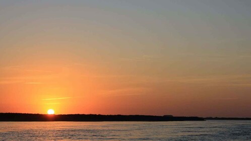 Faro: Excursión guiada en catamarán por la Ría Formosa al atardecer