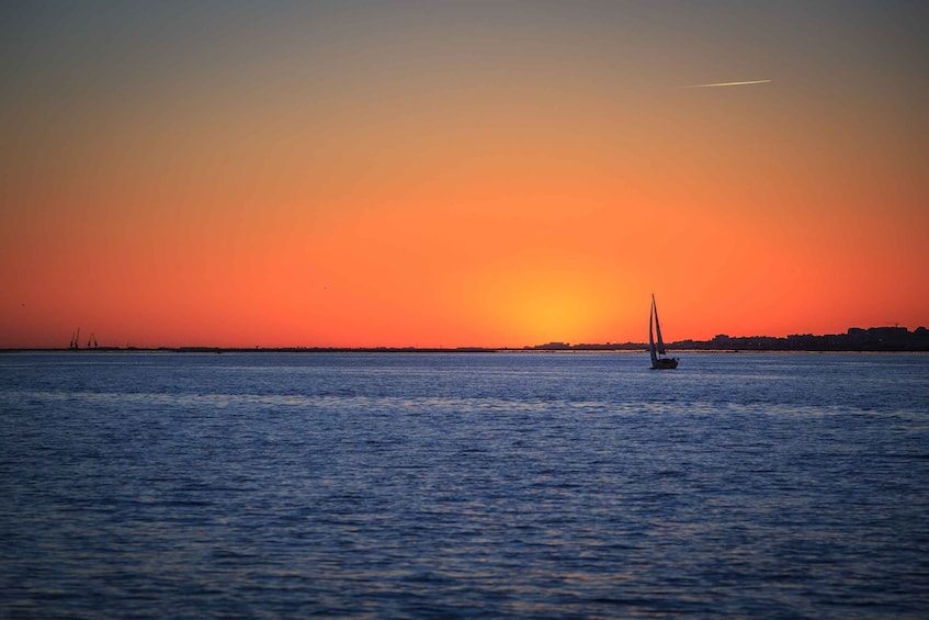 Picture 5 for Activity Faro: Ria Formosa Guided Sunset Tour by Catamaran