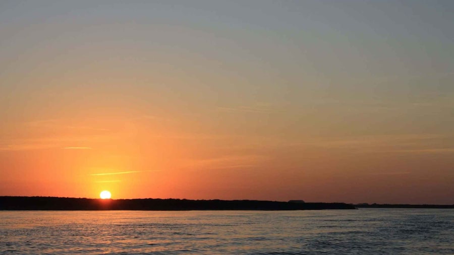 Faro: Ria Formosa Guided Sunset Tour by Catamaran