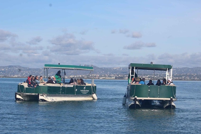Picture 8 for Activity Faro: Ria Formosa Guided Sunset Tour by Catamaran