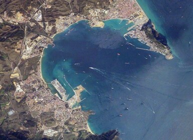 Bay of Gibraltar: 1.5-Hour Dolphin Cruise