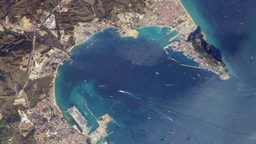 Bay of Gibraltar: Dolphin Cruise