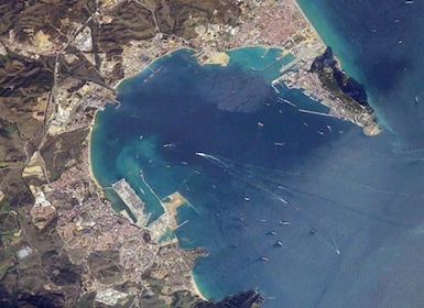 Bucht von Gibraltar: Delphin-Kreuzfahrt