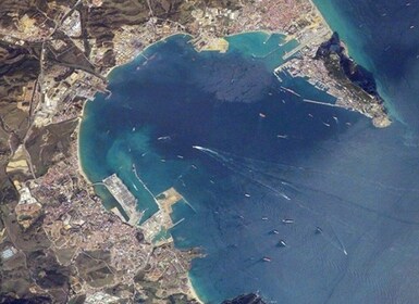 Bahía de Gibraltar: crucero con delfines