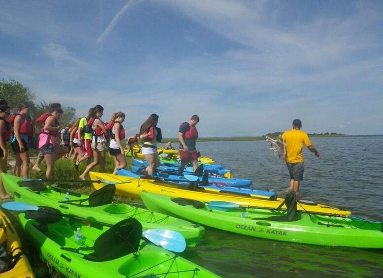 Picture 5 for Activity Berlin: Assateague Island Wildlife Discovery Kayak Tour