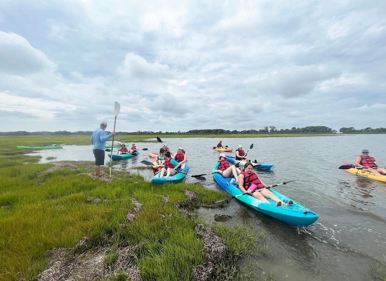 Picture 3 for Activity Berlin: Assateague Island Wildlife Discovery Kayak Tour