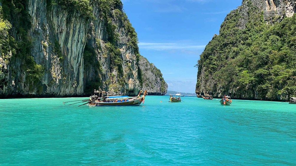 Picture 17 for Activity From Khao Lak: Bamboo & Phi Phi Islands, & Maya Bay Day Trip