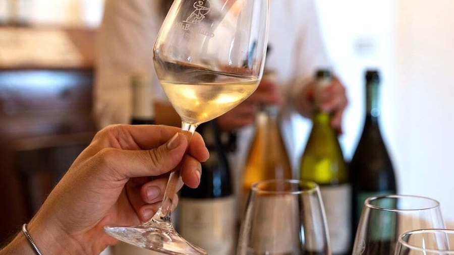 Villa Bogdano 1880: Guided Winery Tour and Tasting