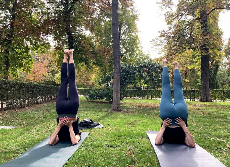 Picture 2 for Activity Madrid: Flow Yoga class in Retiro Park