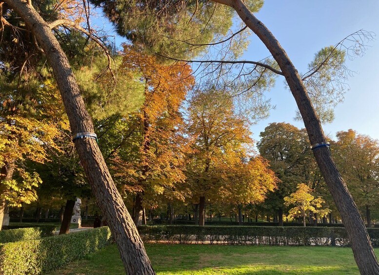 Picture 7 for Activity Madrid: Flow Yoga class in Retiro Park