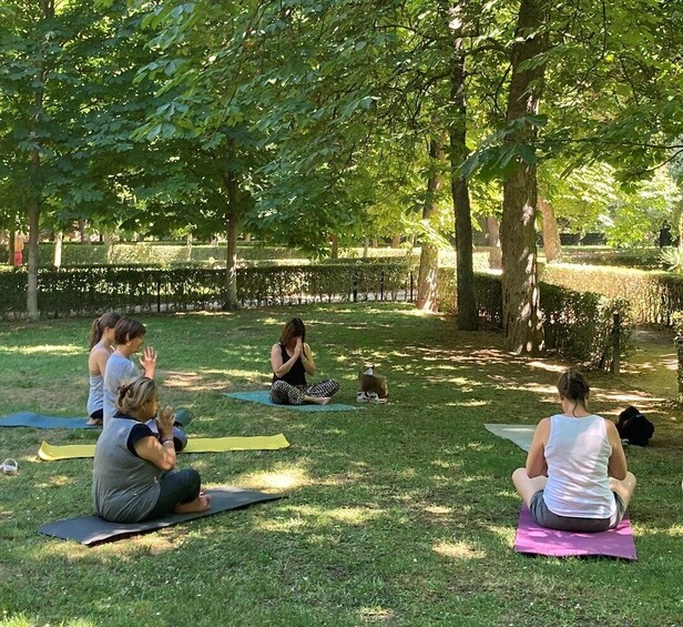 Picture 5 for Activity Madrid: Flow Yoga class in Retiro Park