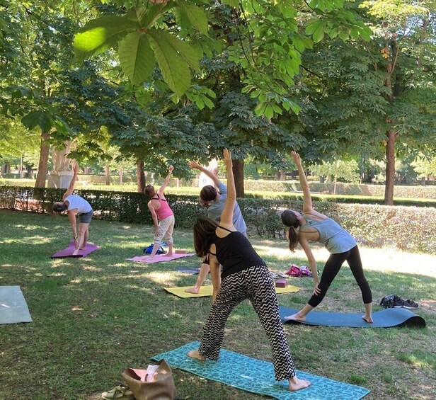 Picture 6 for Activity Madrid: Flow Yoga class in Retiro Park