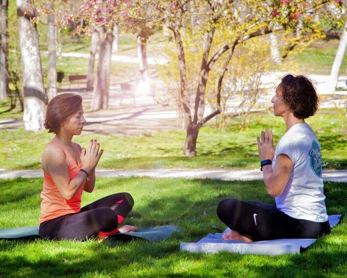 Picture 1 for Activity Madrid: Flow Yoga class in Retiro Park