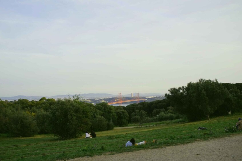 Picture 2 for Activity Lisbon: Guided Tour of Monsanto Park by Vintage Bike