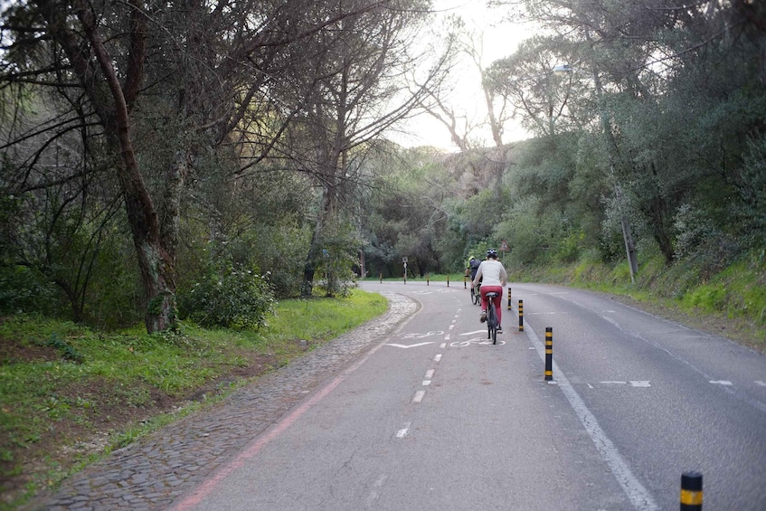 Picture 1 for Activity Lisbon: Guided Tour of Monsanto Park by Vintage Bike