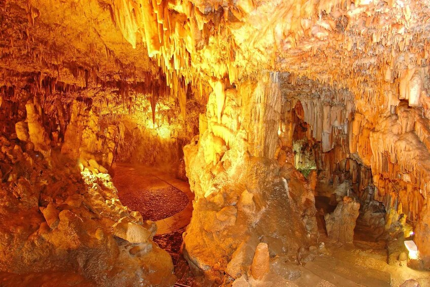 Picture 9 for Activity Private Tour: Melissani, Drogarati & Antisamos Swim Stop