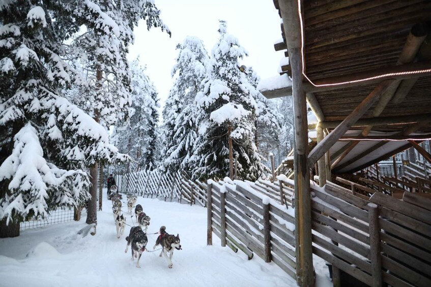 Picture 2 for Activity Rovaniemi: Santa Claus Village Tour & Reindeer & Husky Ride