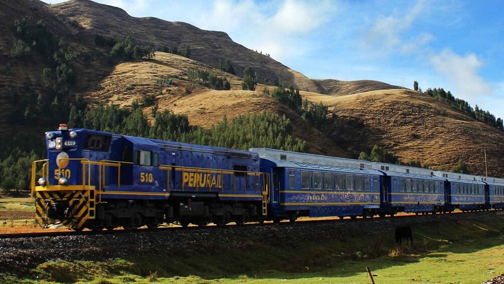 Machu Picchu: 1-day tour by Expedition or Voyager train