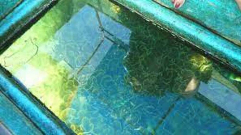 Glass Bottom Boat Ride in Trincomalee