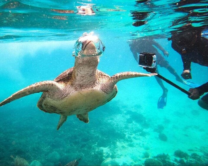 Picture 4 for Activity Muscat: Daymaniat Islands Snorkeling Trip