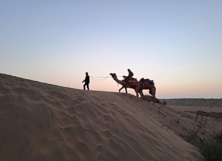 Picture 5 for Activity Jeep & Camel Ride, Musical Evening in The Desert Luxury Camp