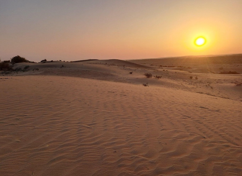 Picture 13 for Activity Jeep & Camel Ride, Musical Evening in The Desert Luxury Camp