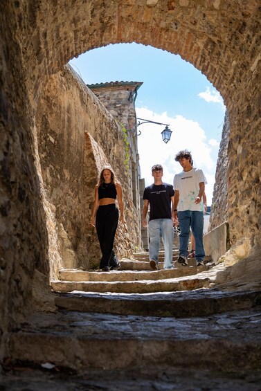 From Padua: Arquà Petrarca Guided Tour