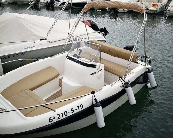 Picture 19 for Activity Benalmádena: Rent Boat without License for Dolphin Watching