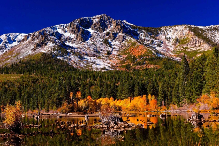 Lake Tahoe: Half-Day Photographic Scenic Tour