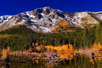 Lake Tahoe: Half-Day Photographic Scenic Tour