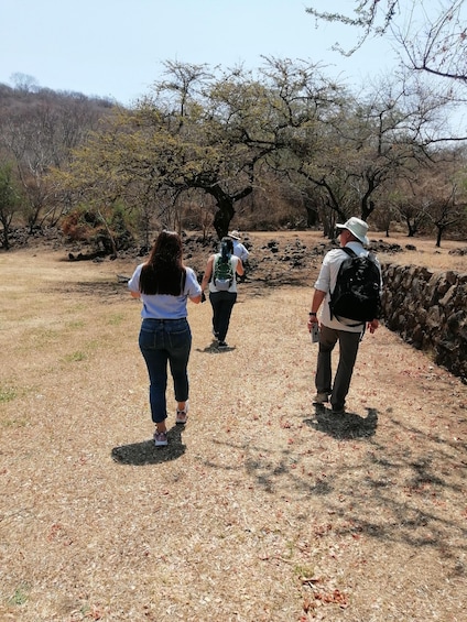 Picture 15 for Activity Guadalajara: Guachimontones pyramids Archaeological Site