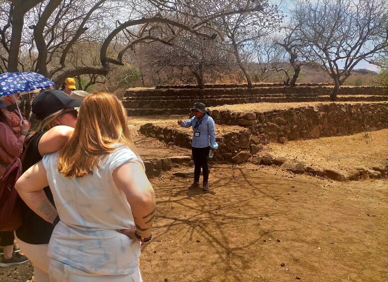 Picture 5 for Activity Guadalajara: Guachimontones pyramids Archaeological Site