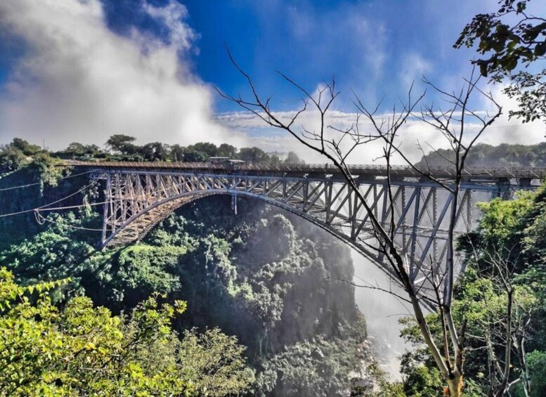 Picture 10 for Activity Victoria Falls: The view of the Falls and Historic Bridge