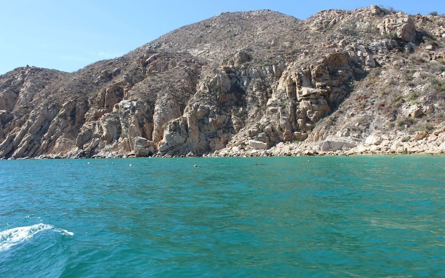 Picture 4 for Activity Two hours private boat tour at Cabo San Lucas bay